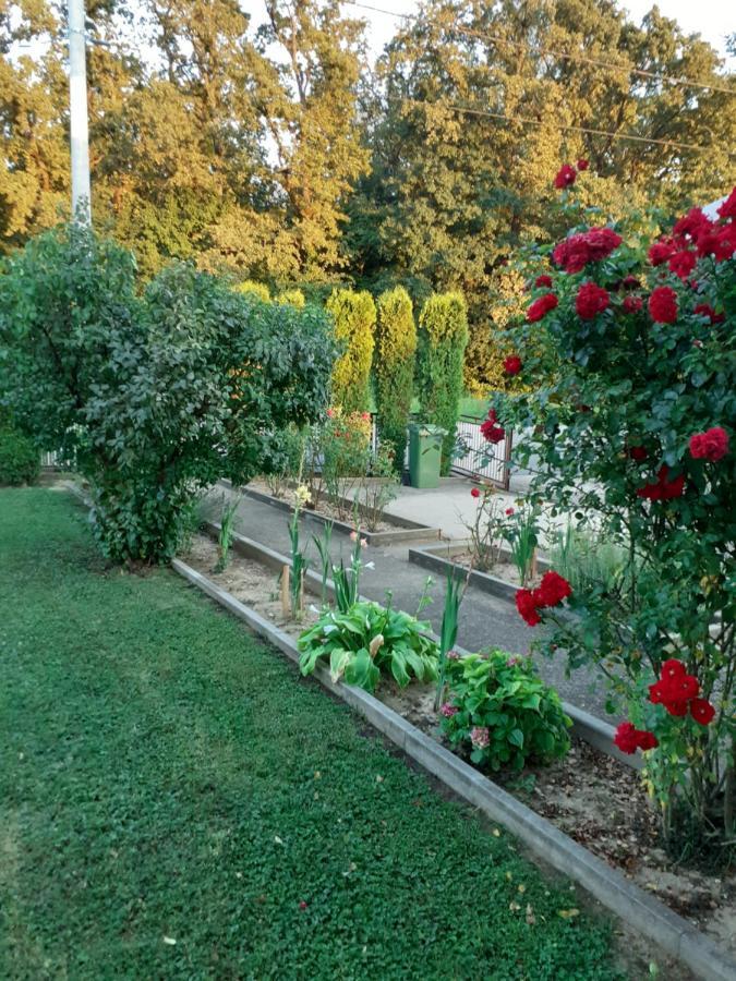 Appartamento Maja Velika Gorica Esterno foto