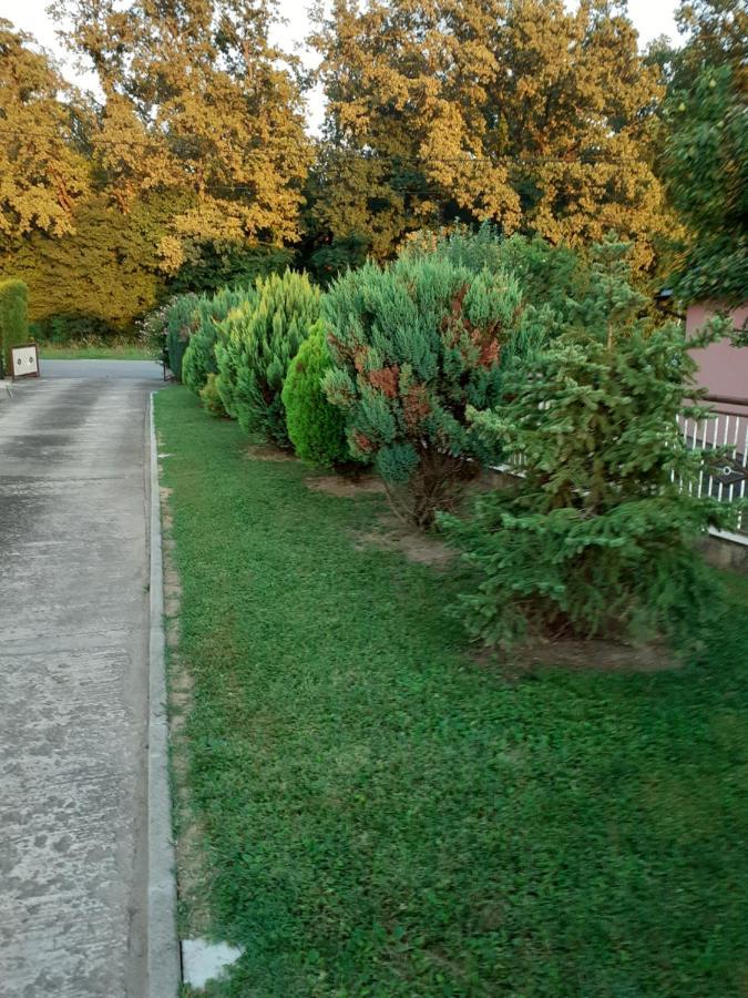 Appartamento Maja Velika Gorica Esterno foto